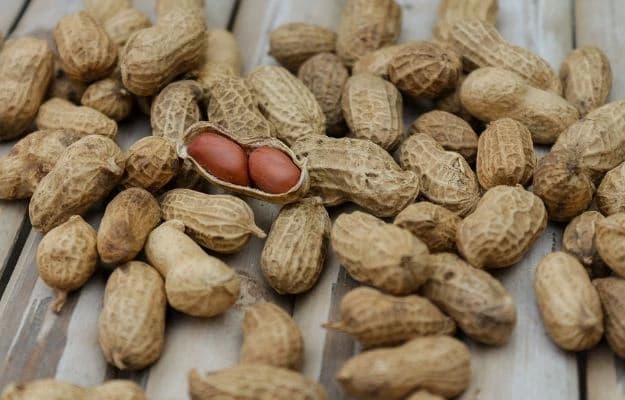 Peanuts (Groundnuts) - Tulsi Agro Chitrakoot
