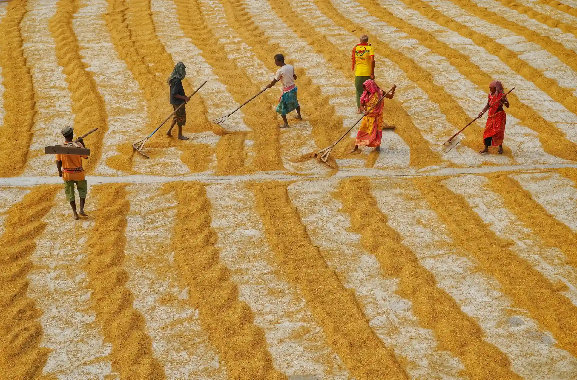 Tulsi Agro About Background